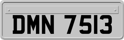 DMN7513