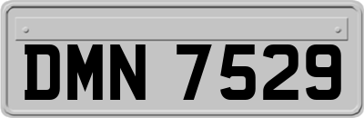 DMN7529