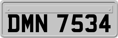 DMN7534