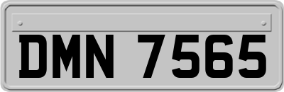 DMN7565