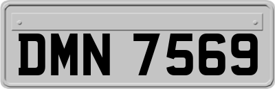 DMN7569