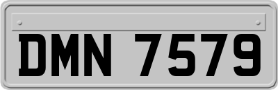 DMN7579