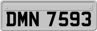 DMN7593