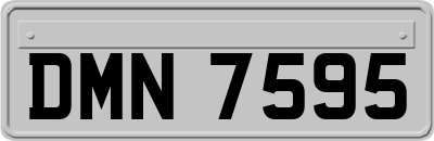 DMN7595