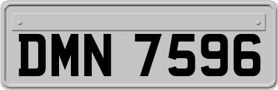 DMN7596