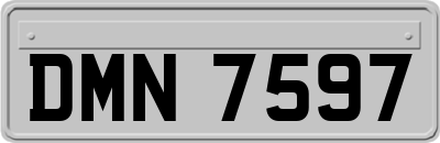 DMN7597