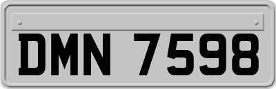 DMN7598