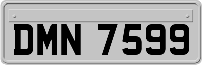 DMN7599