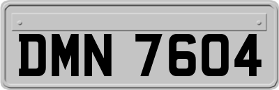 DMN7604