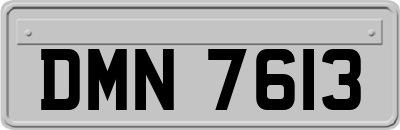DMN7613
