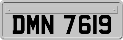 DMN7619