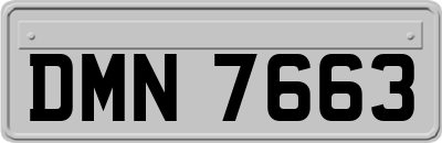 DMN7663