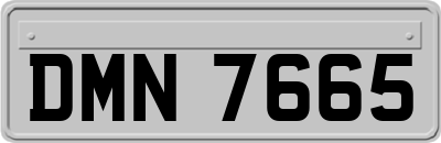 DMN7665
