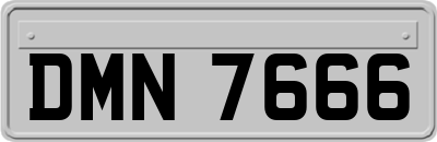 DMN7666