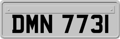 DMN7731