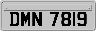 DMN7819