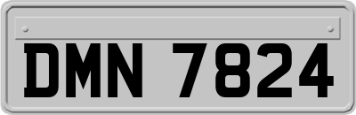DMN7824