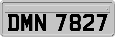 DMN7827