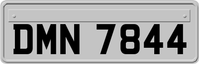 DMN7844
