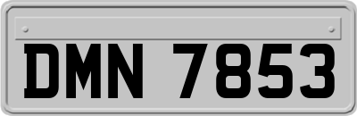 DMN7853