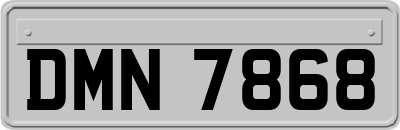DMN7868