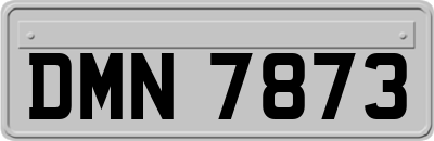 DMN7873
