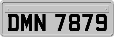 DMN7879