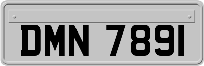 DMN7891