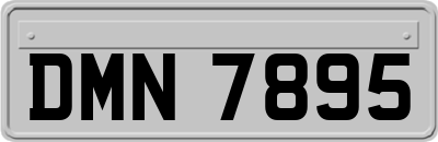 DMN7895