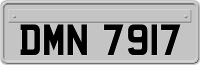 DMN7917