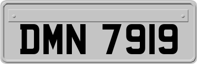 DMN7919