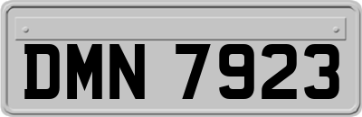 DMN7923