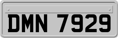 DMN7929