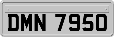 DMN7950