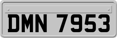 DMN7953