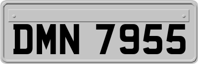 DMN7955