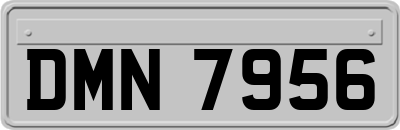 DMN7956