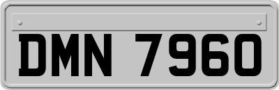 DMN7960