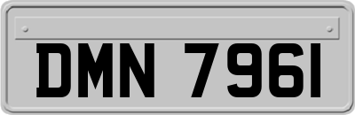 DMN7961