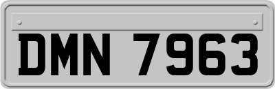 DMN7963
