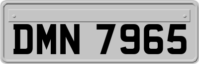 DMN7965