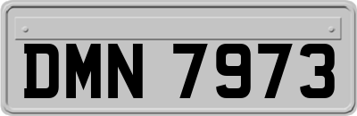 DMN7973