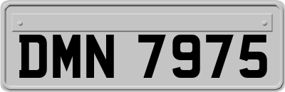 DMN7975