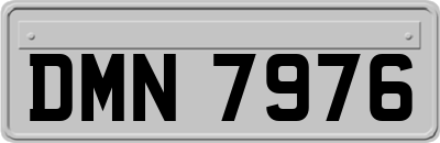 DMN7976