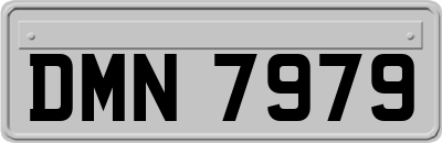 DMN7979