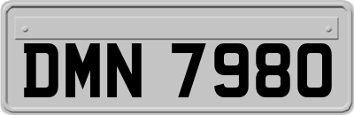 DMN7980