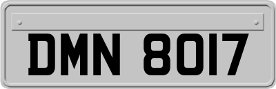 DMN8017