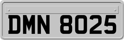 DMN8025