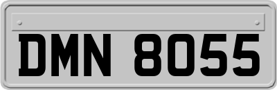 DMN8055