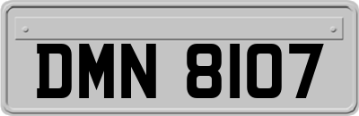 DMN8107